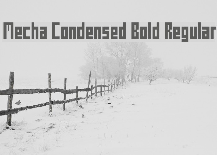 Mecha Condensed Bold Regular Font examples