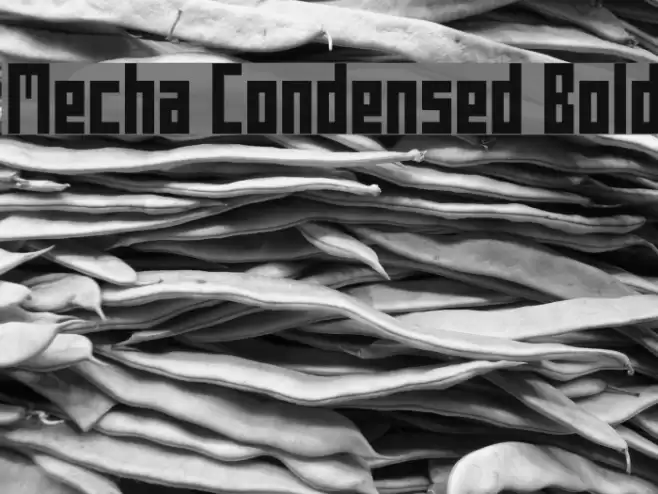 Mecha Condensed Bold Font examples