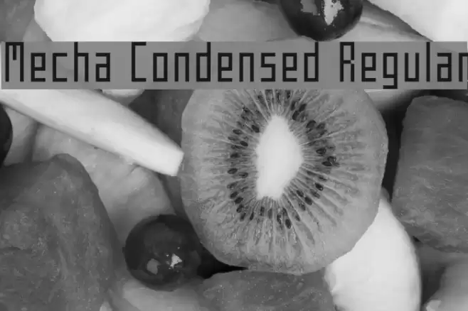 Mecha Condensed Regular Polices examples
