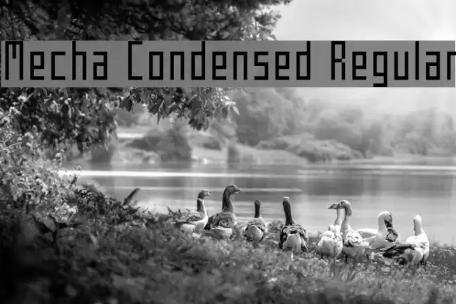 Mecha Condensed Regular Polices examples