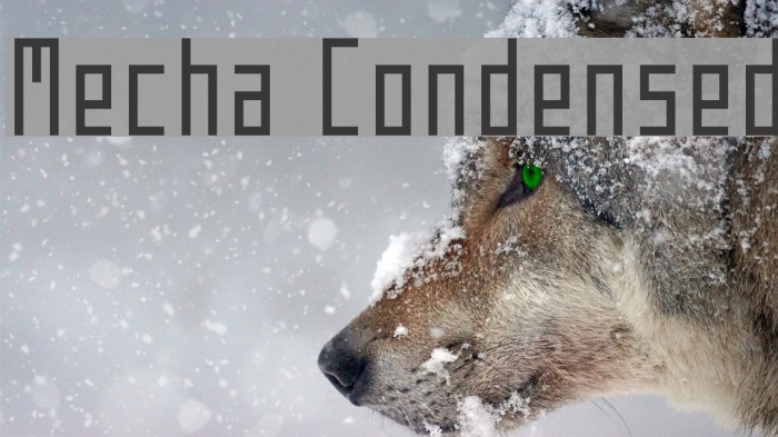 Mecha Condensed Font examples