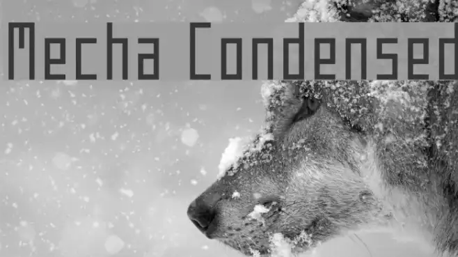 Mecha Condensed Example 2