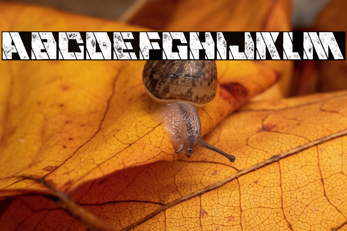 Mecha Grunge Example 3