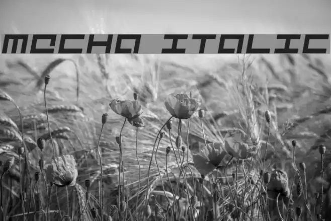 Mecha Italic Font examples