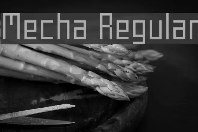 Mecha Regular Fonte examples