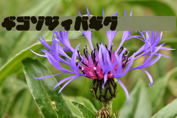 MechamaruKat Font examples