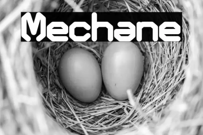 Mechane Font examples
