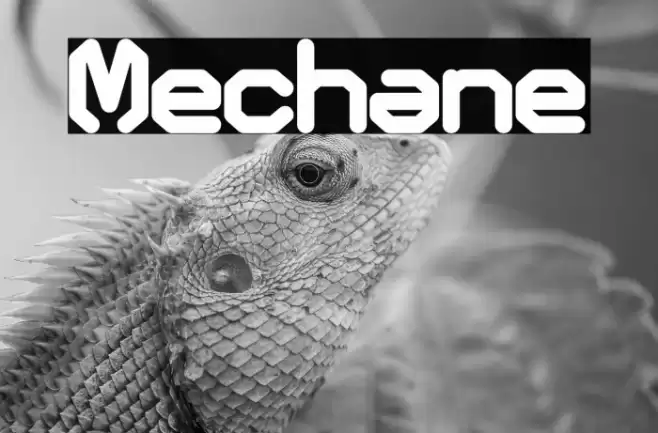 Mechane Font examples