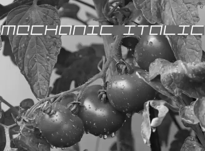 Mechanic Italic خط examples