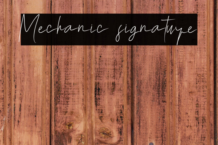 Mechanic signature Example 1