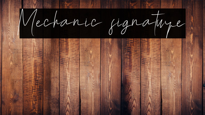 Mechanic signature Example 2