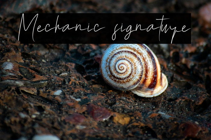 Mechanic signature Example 3