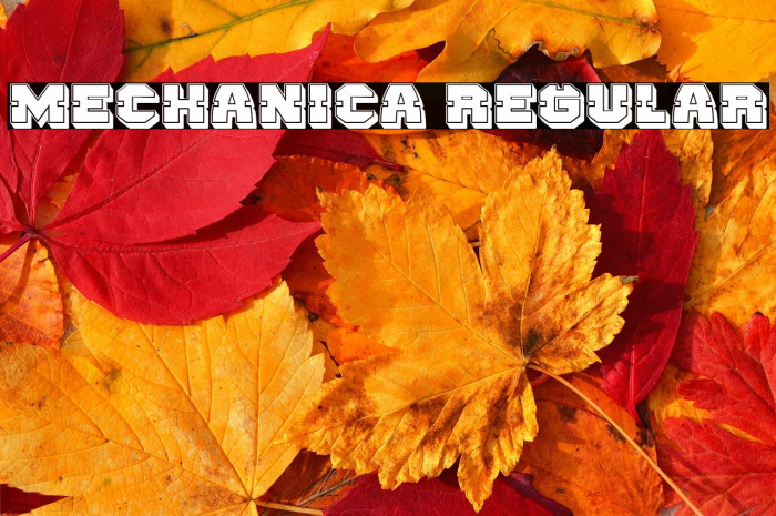 Mechanica Regular Example 3