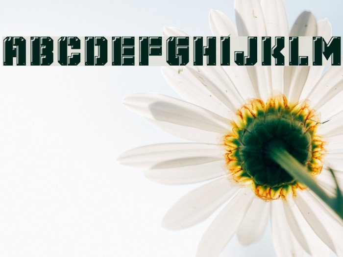 Mechanical Animals Font examples