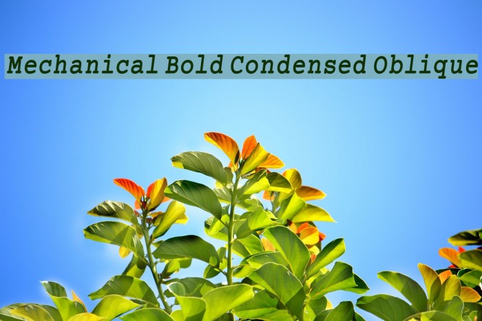 Mechanical Bold Condensed Oblique Example 3