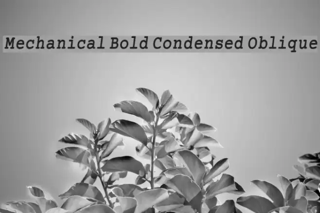 Mechanical Bold Condensed Oblique Font examples