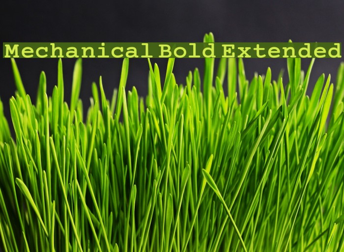 Mechanical Bold Extended Font examples
