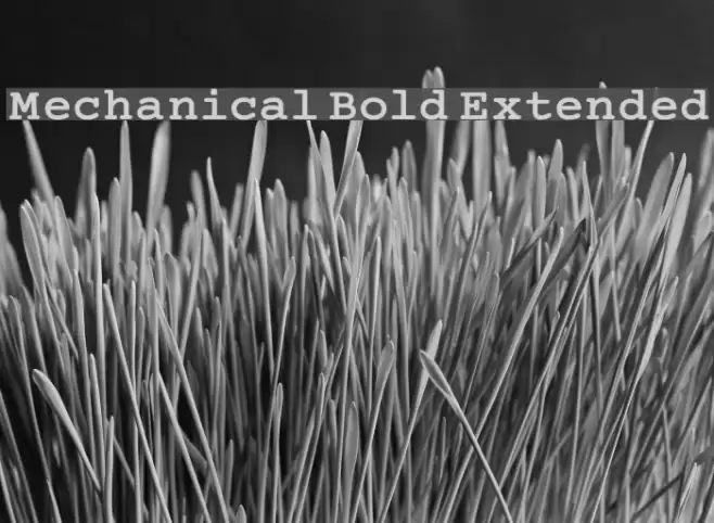 Mechanical Bold Extended Fonte examples