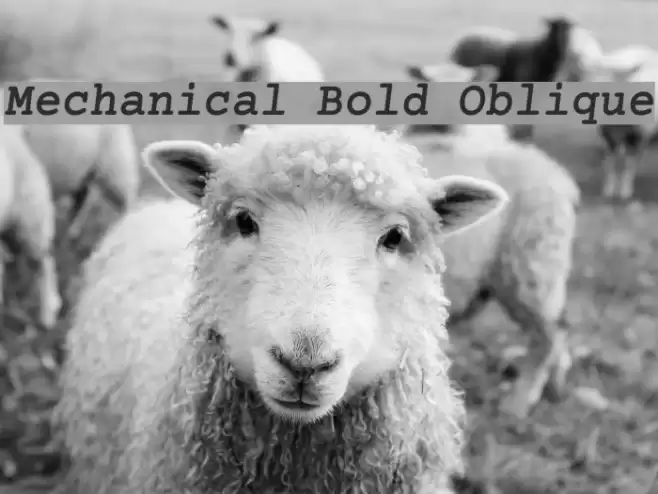 Mechanical Bold Oblique Fonte examples