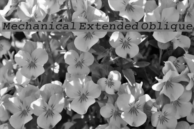 Mechanical Extended Oblique Font examples