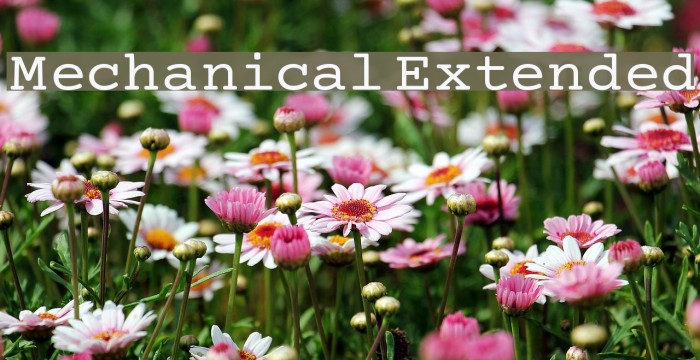 Mechanical Extended Font examples