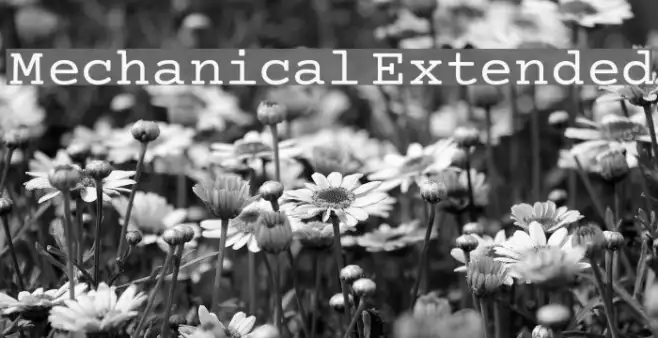 Mechanical Extended Example 1