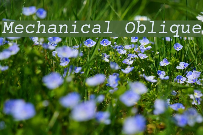 Mechanical Oblique Fonte examples