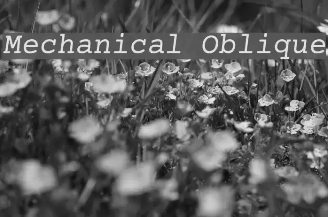 Mechanical Oblique Font examples