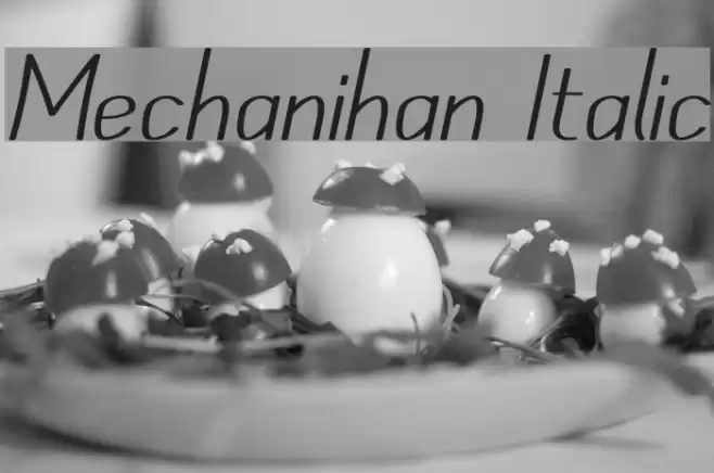 Mechanihan Italic Font examples