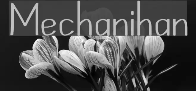 Mechanihan Example 1