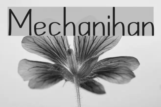 Mechanihan Example 3