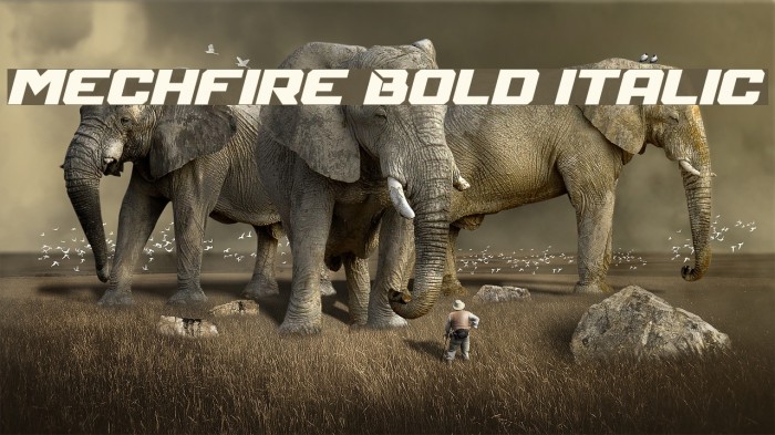 Mechfire Bold Italic Font examples