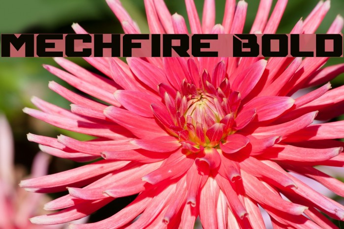 Mechfire Bold Example 1