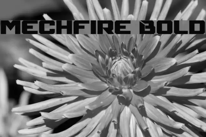 Mechfire Bold Font examples