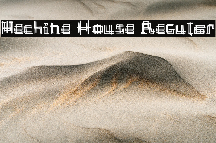 Mechine House Regular Example 1