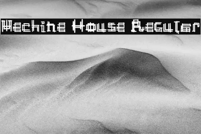 Mechine House Regular Example 1
