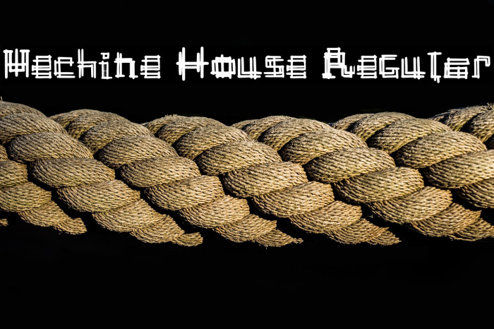 Mechine House Regular Example 3