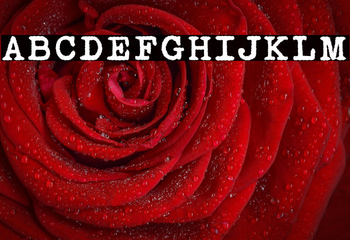 Mechonat Ktiva Example 1