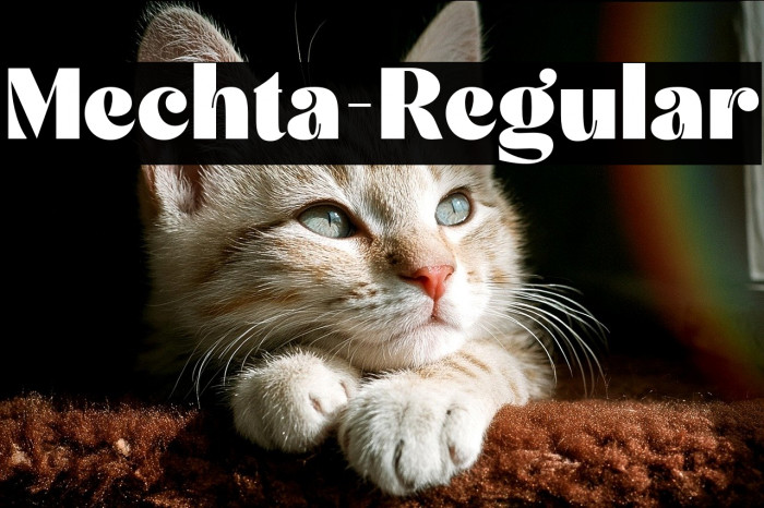 Mechta-Regular Example 1