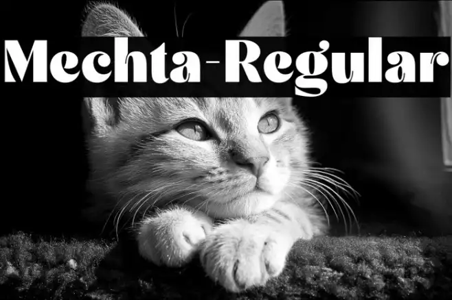 Mechta-Regular Example 1