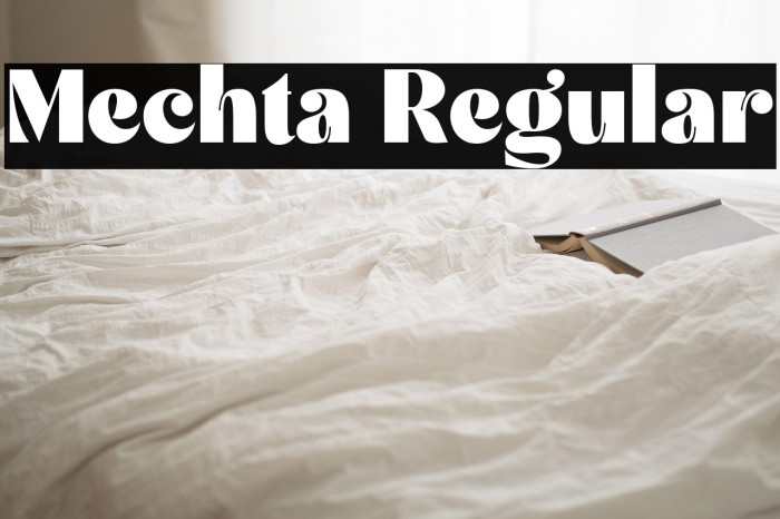 Mechta Regular Example 2