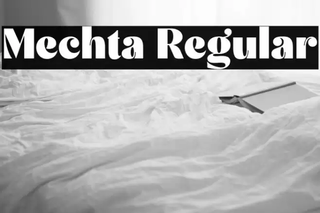 Mechta Regular Font examples