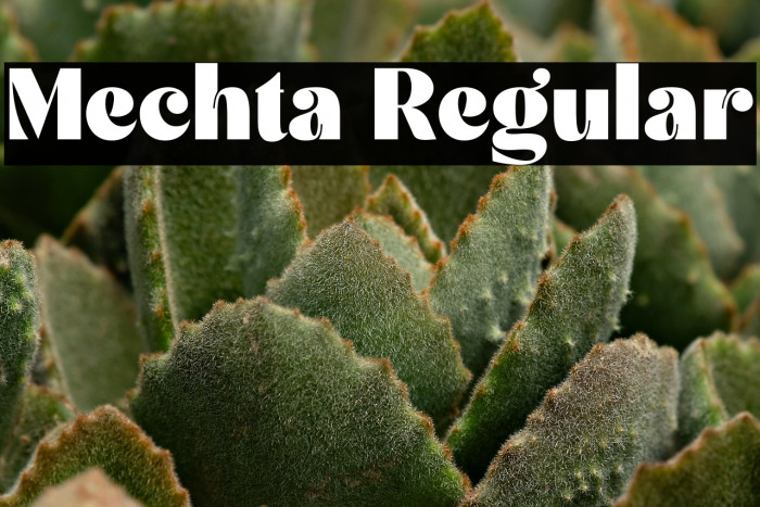 Mechta Regular Example 3