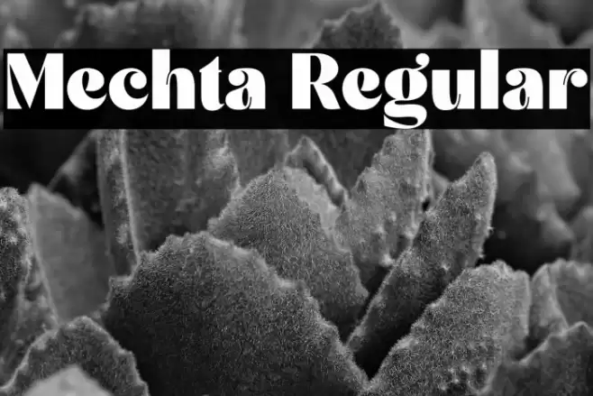 Mechta Regular Font examples