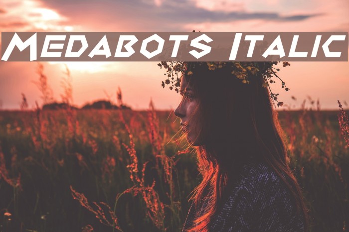 Medabots Italic Example 3