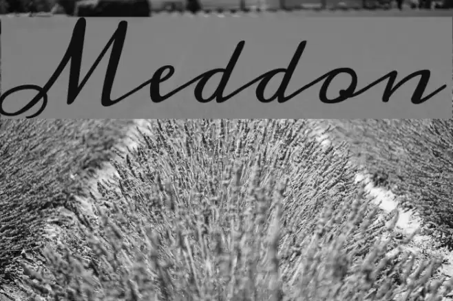 Meddon Font examples