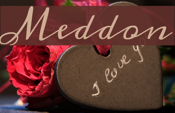 Meddon Font examples