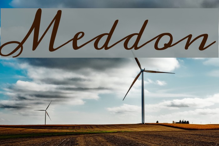 Meddon Font examples