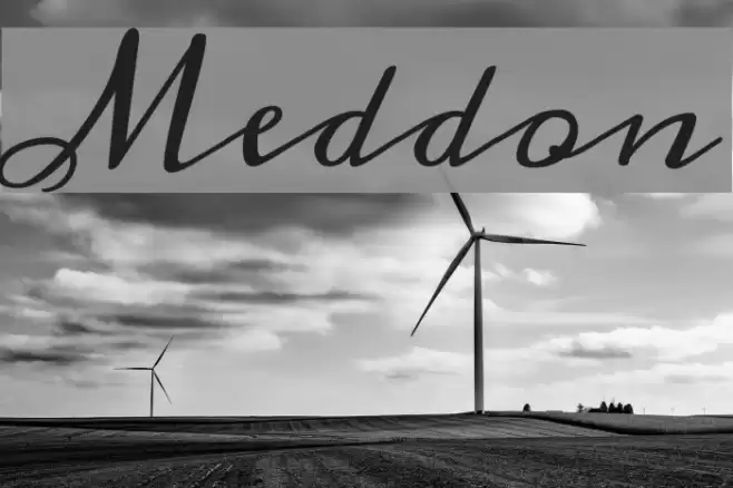 Meddon Font examples