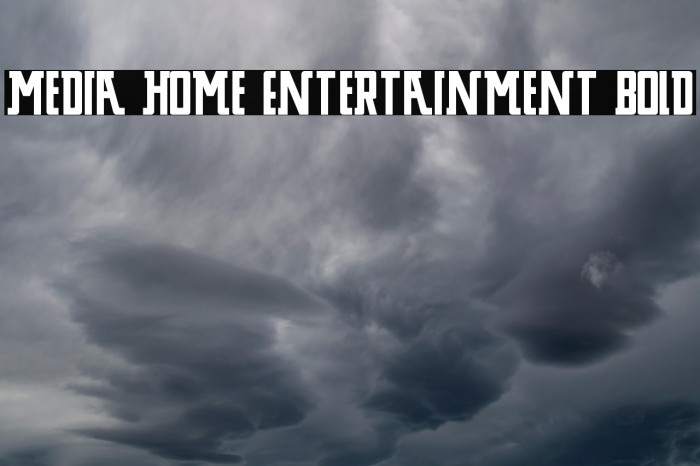 Media Home Entertainment Bold Example 1